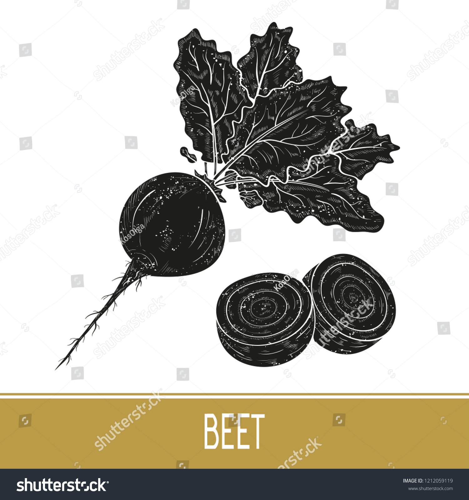 Beet Vegetable Root Fruit Leaves Black Stock Vector Royalty