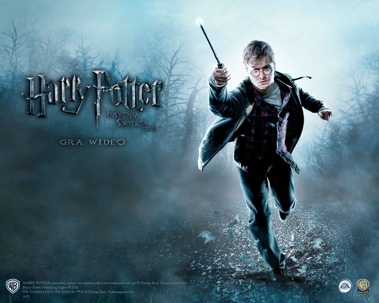 Pictures Harry Potter Games
