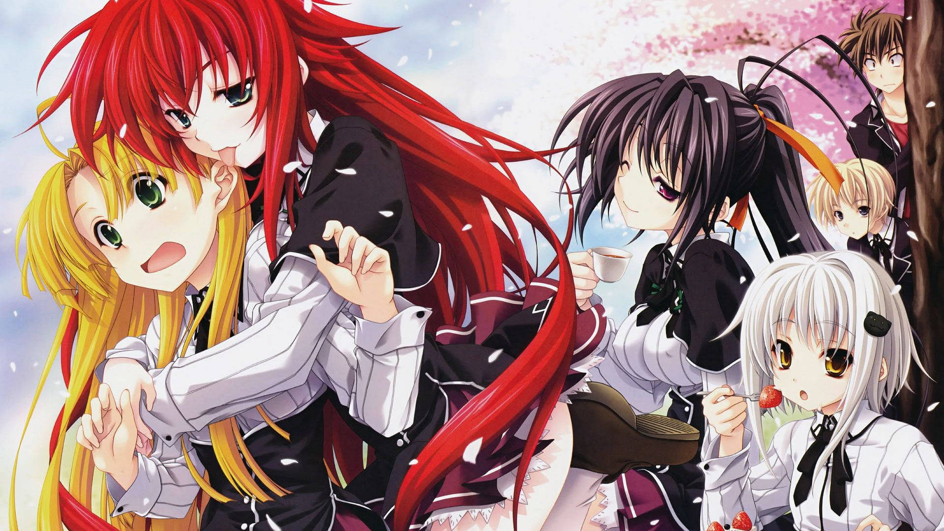 High School Dxd Wallpaper