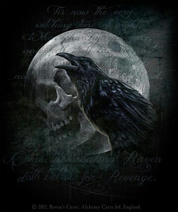 Ravens Curse Alchemy Gothic art Gothic Pinterest