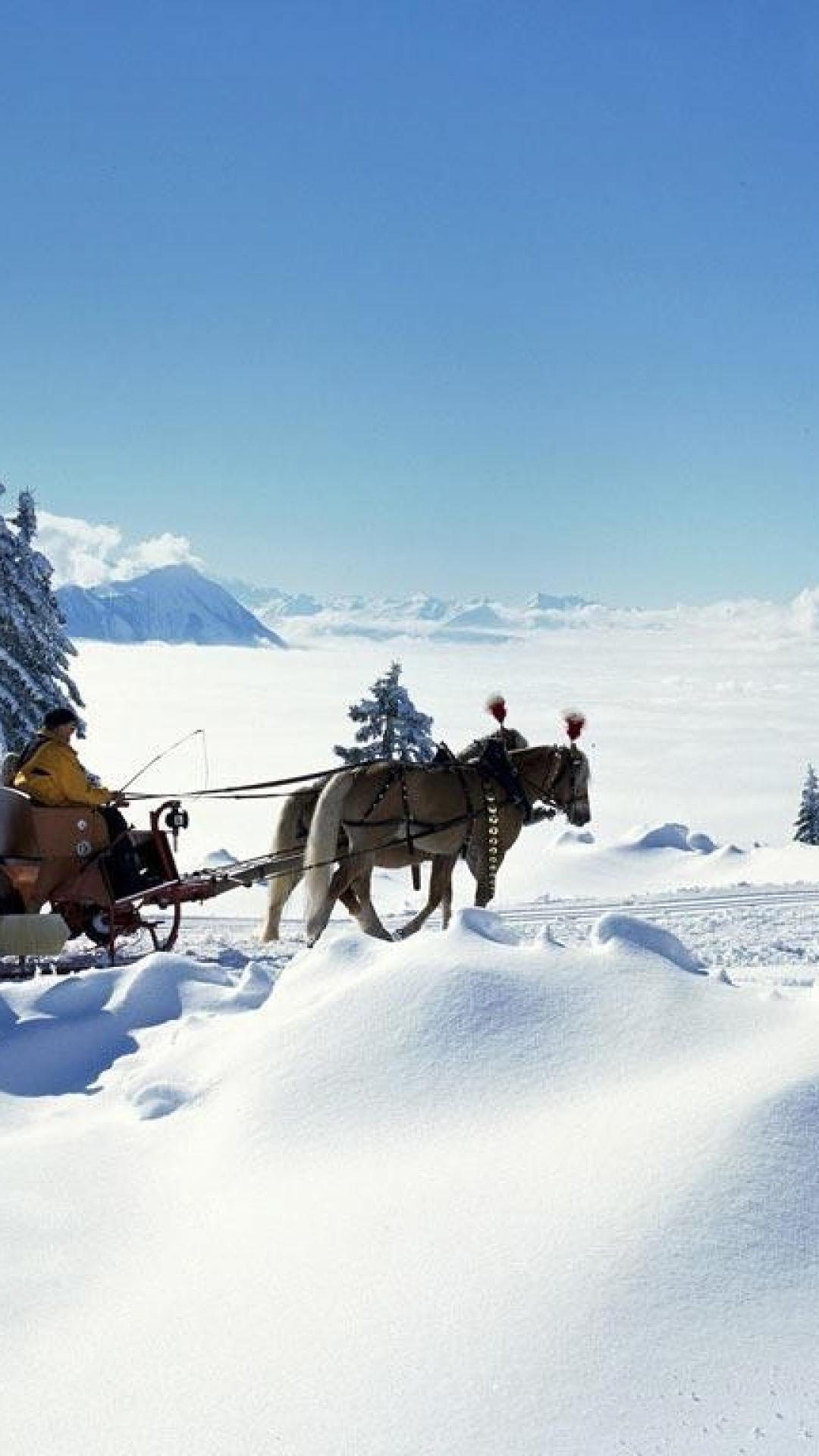 Landscapes Snow Horses Switzerland Sleds Bing Wallpaper