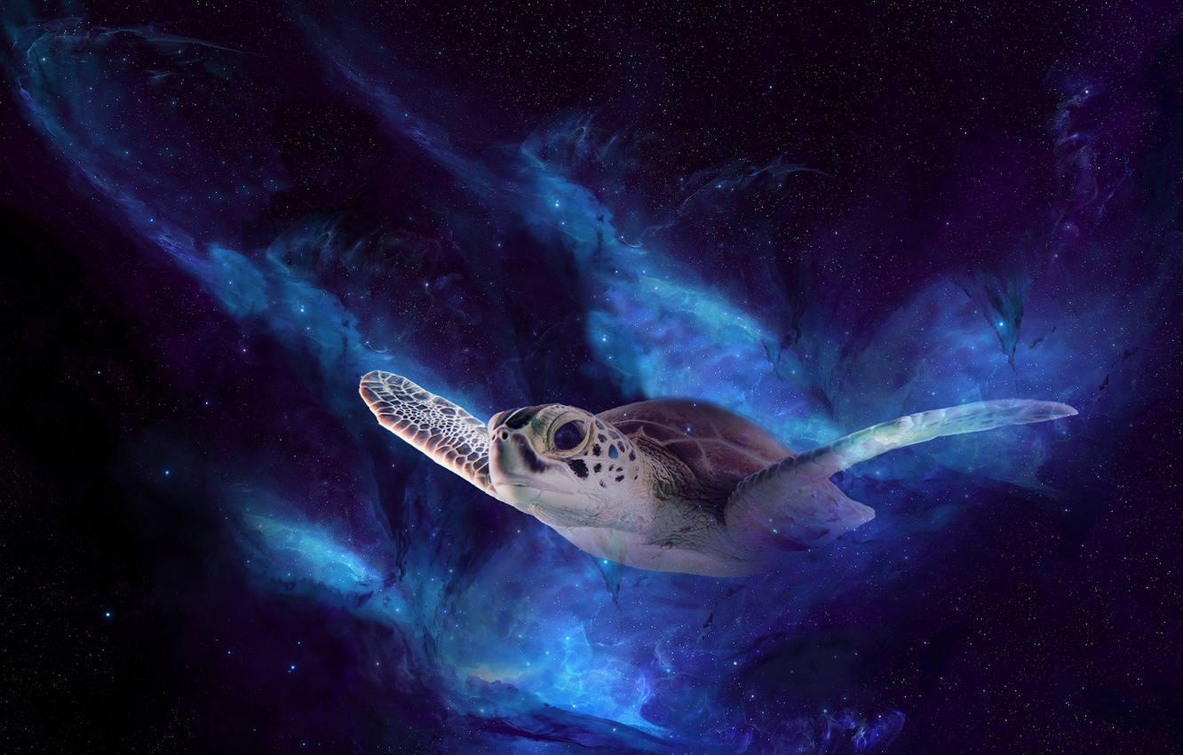 Wallpaper Space Flight Night Rendering Turtle Sea