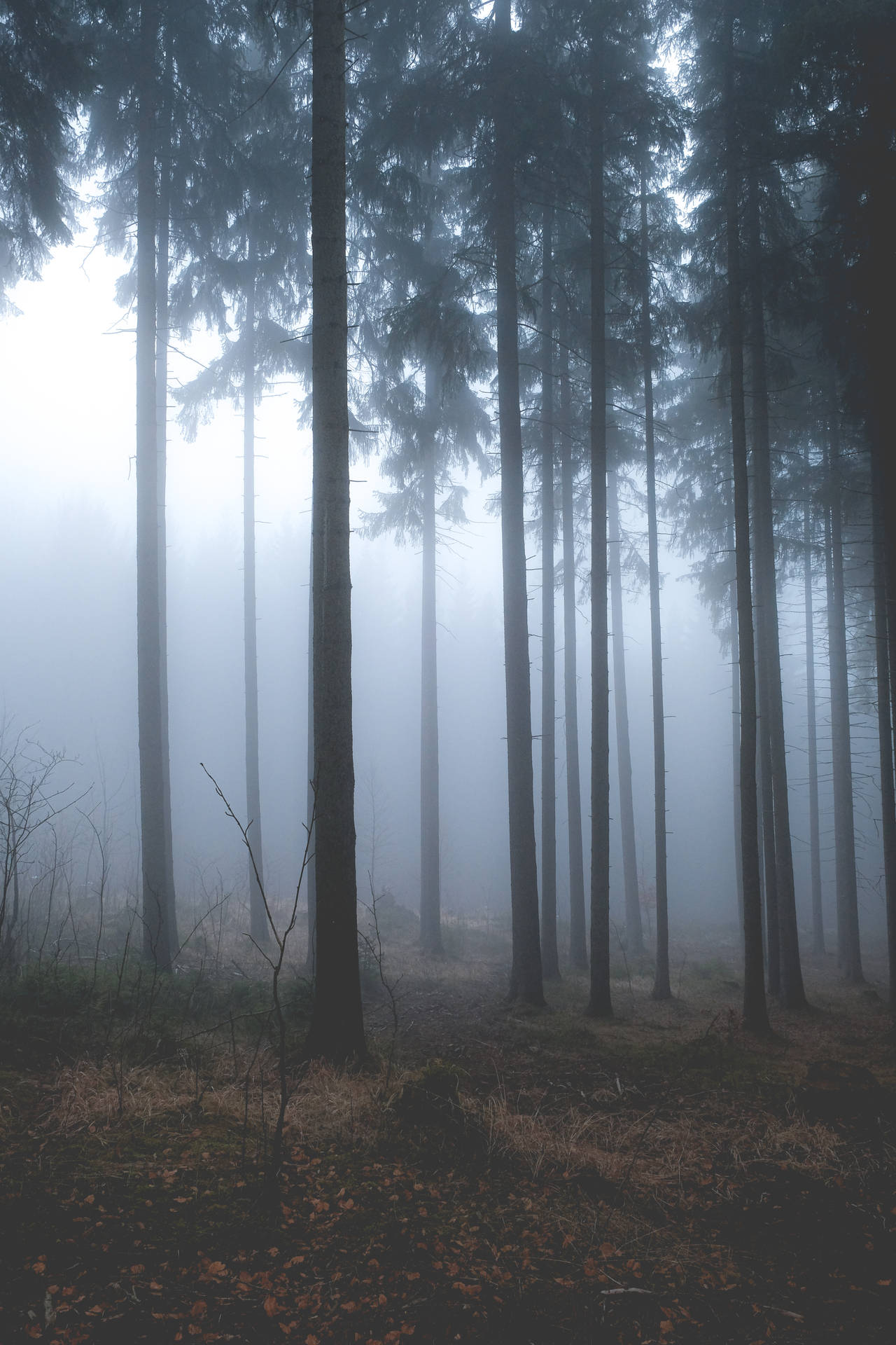 Sad Depressing Wallpaper