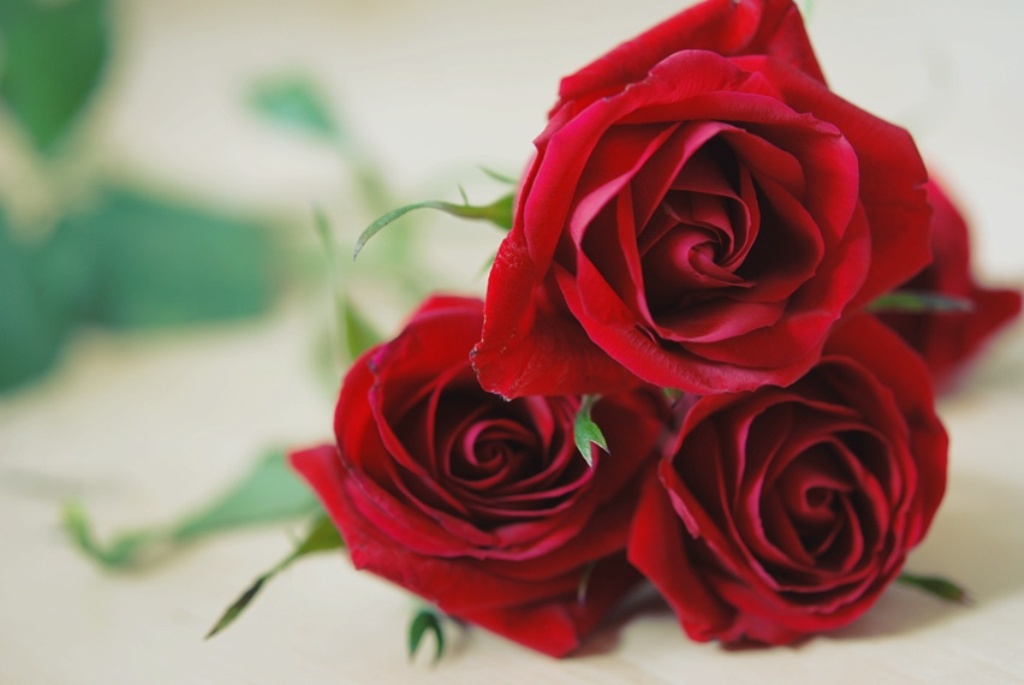 Red Roses For My Sweet Love Wallpaper