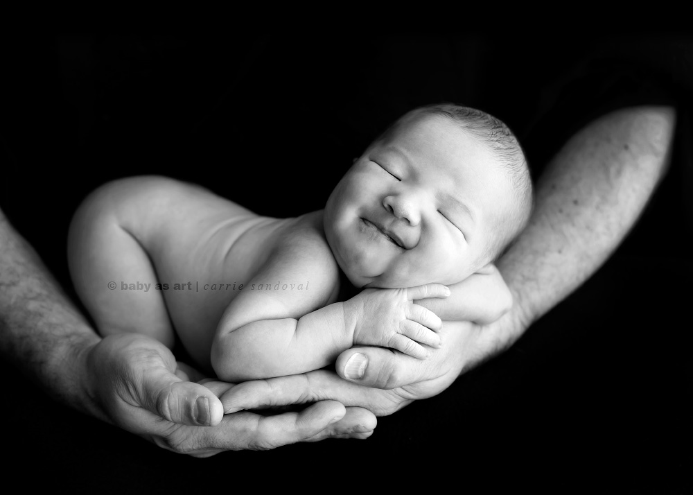Newborn Photography Baby Photographer San Diego California As Art