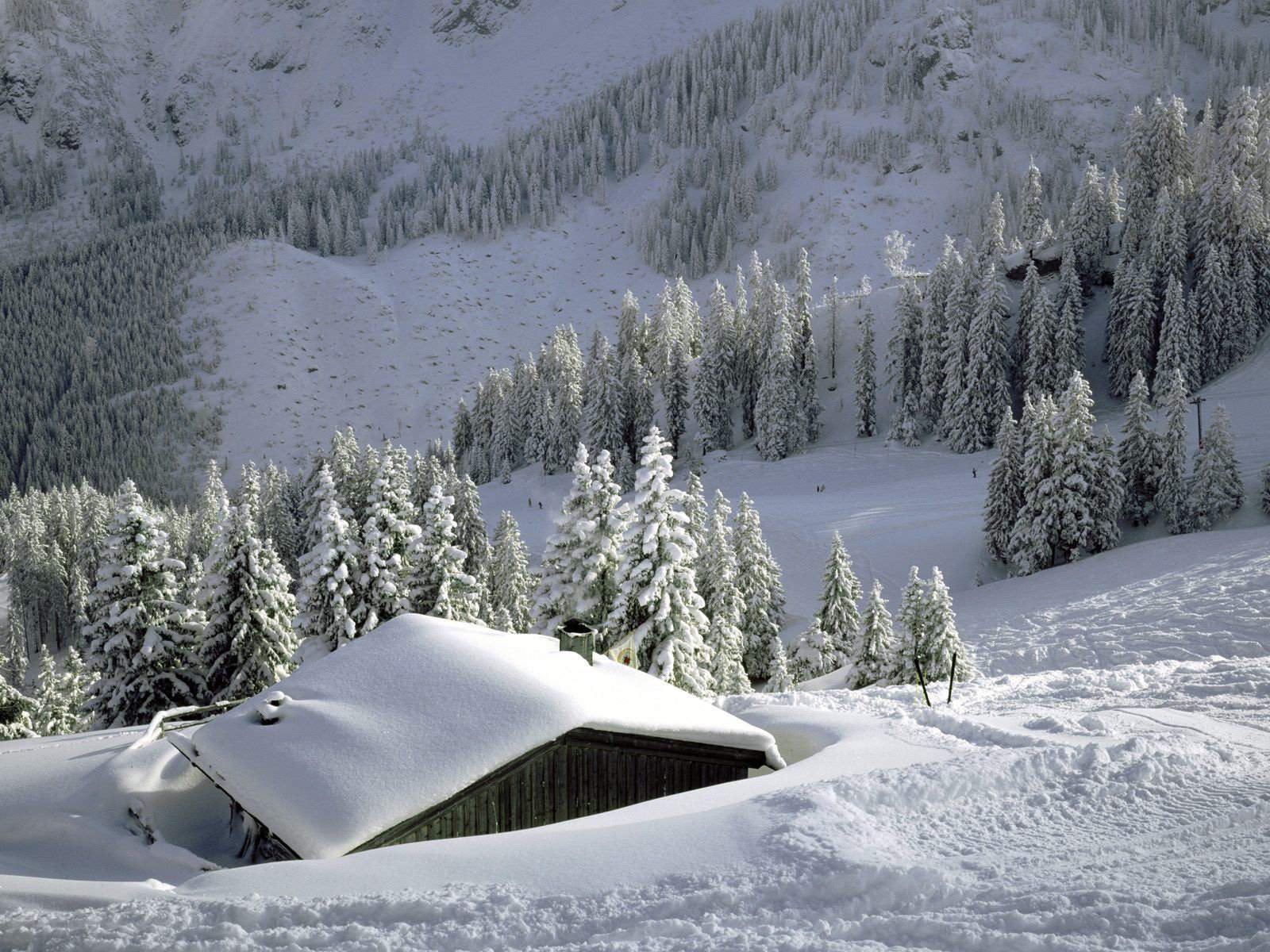 Nature Wallpaper Snow Roof