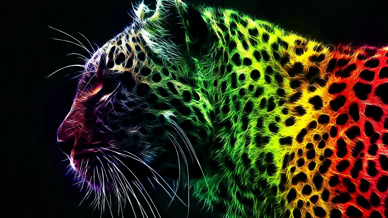 Abstract Cheetah Animal Picture HD Wallpaper Jpg