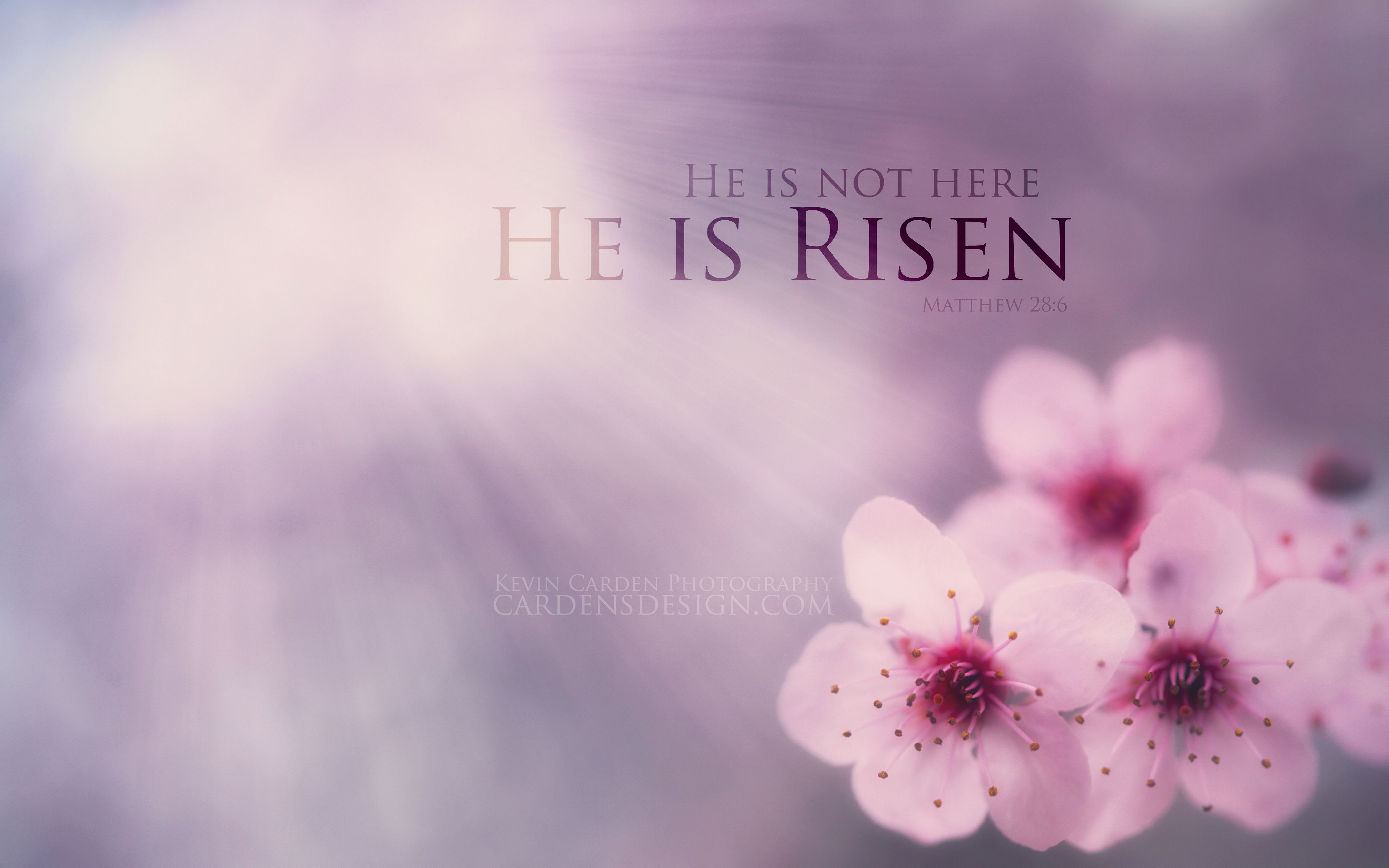 HE IS RISEN  Happy Easter  Christian wallpaper backgroun  Flickr