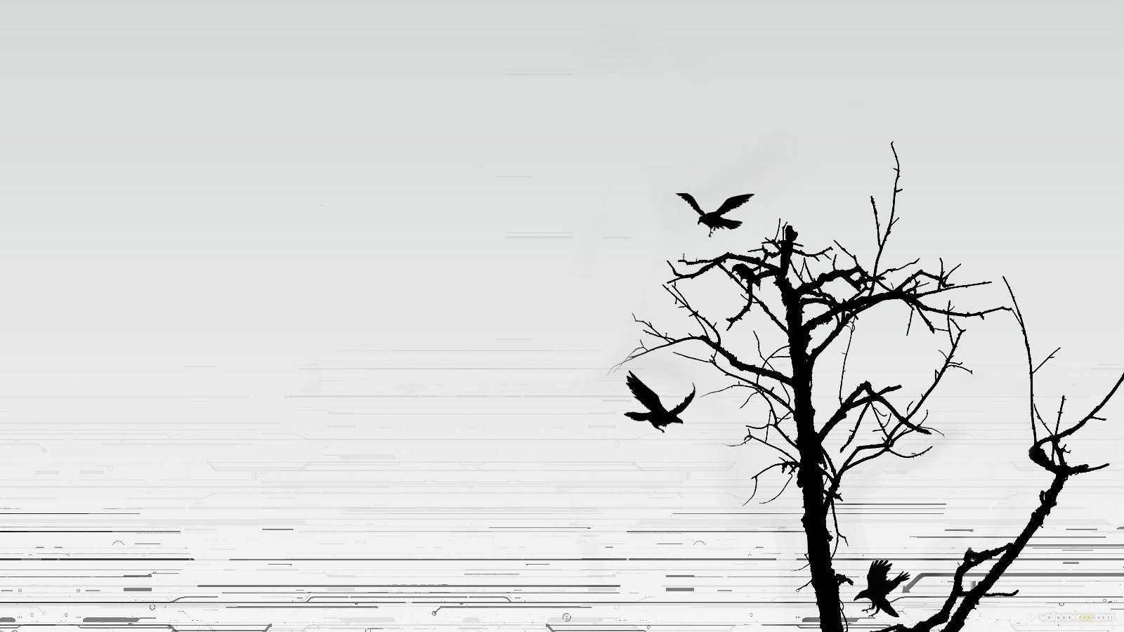 Download Birds On The Tree Widescreen WallpaperFree Wallpaper