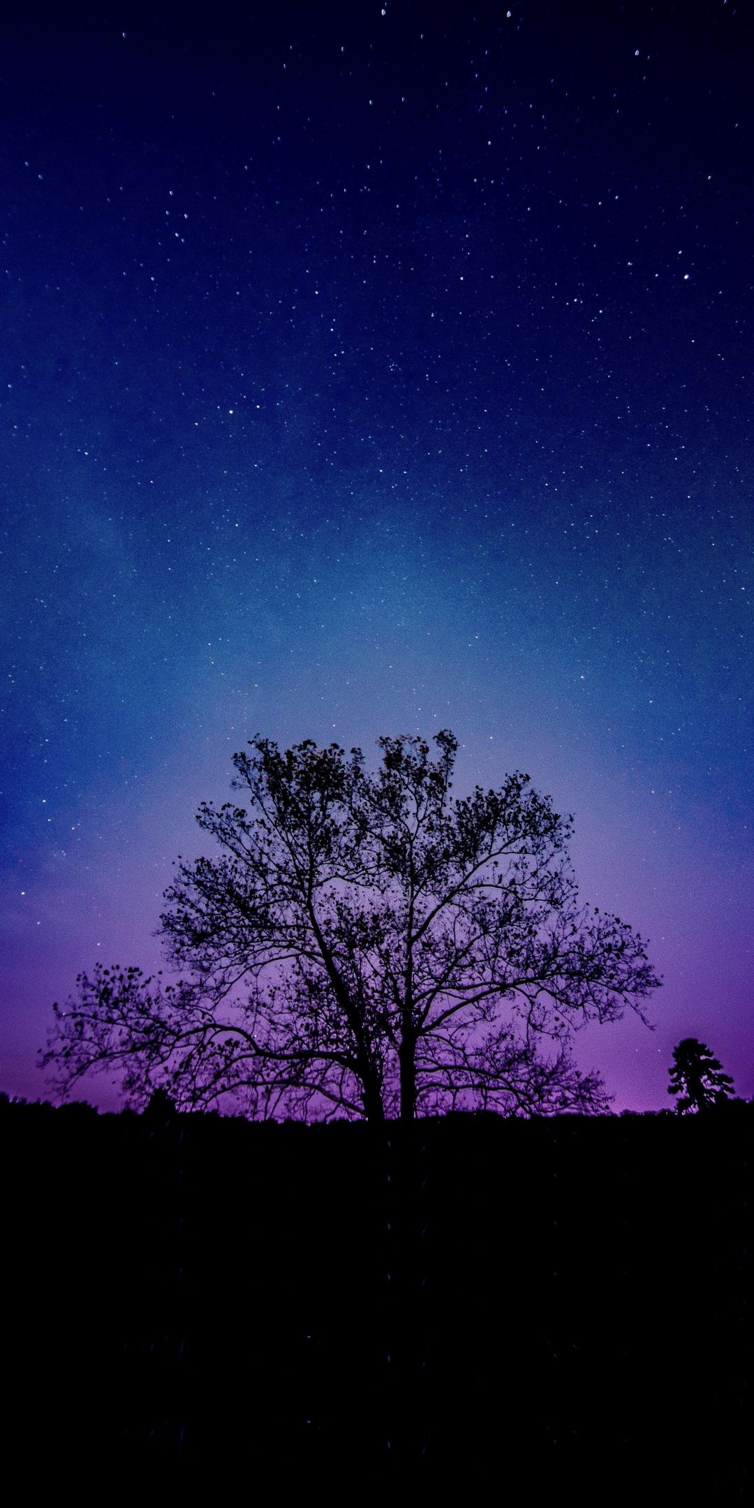 Tree Galaxy Sky Silhouette Wallpaper Pemandangan
