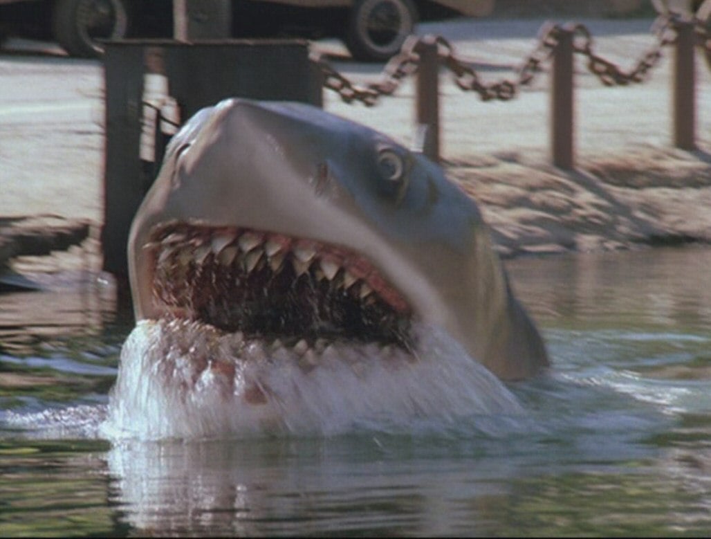 Jaws 21744 Hd Wallpapers in Movies   Imagescicom 1028x779
