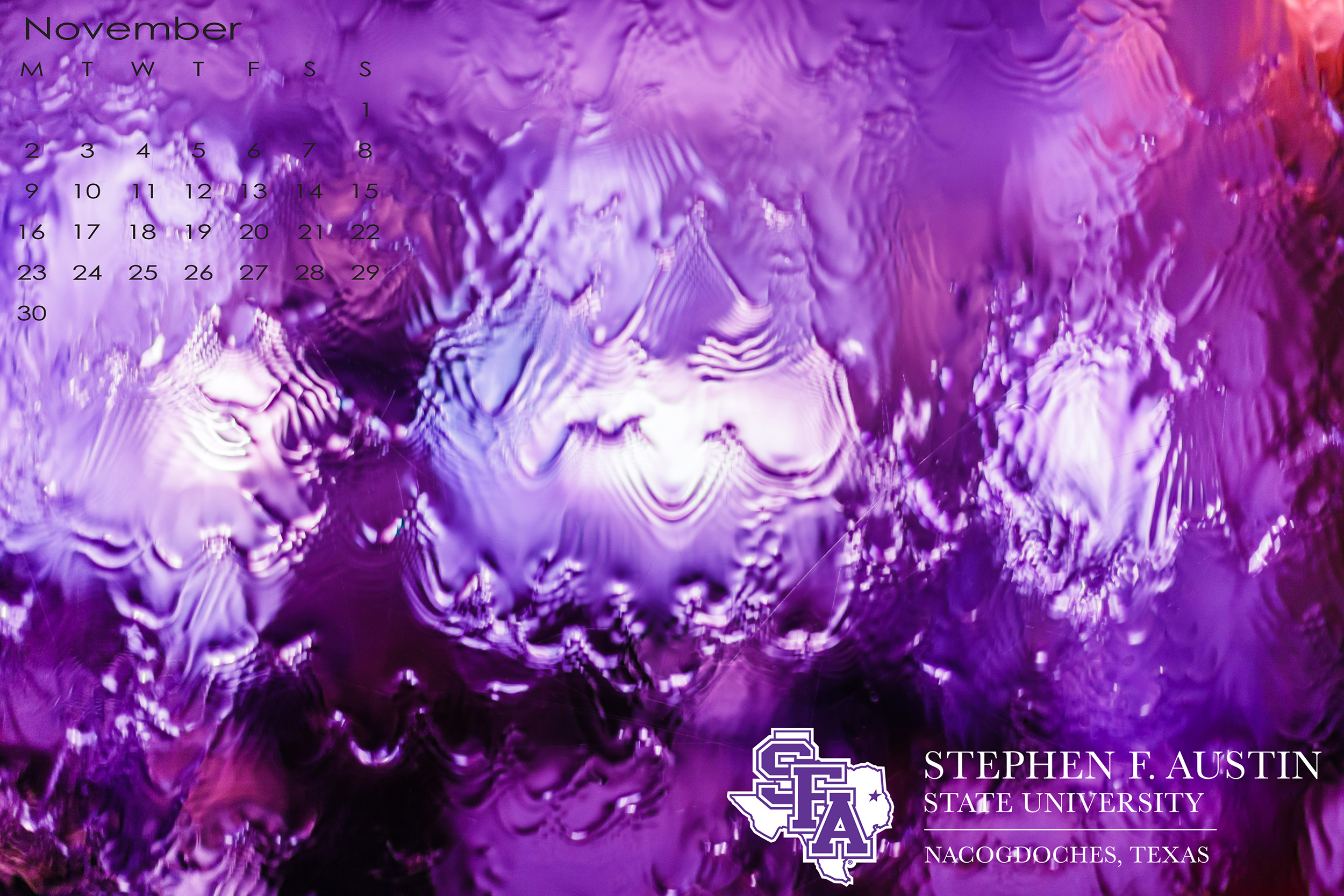 Sfa Career Services Hosting Seminar Today