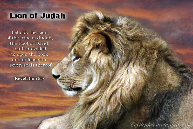 Lion Of Judah Print By Nilopher