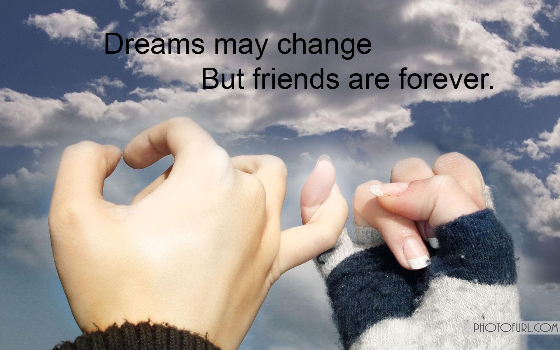 Friendship Quotes And Cute Cat Picture