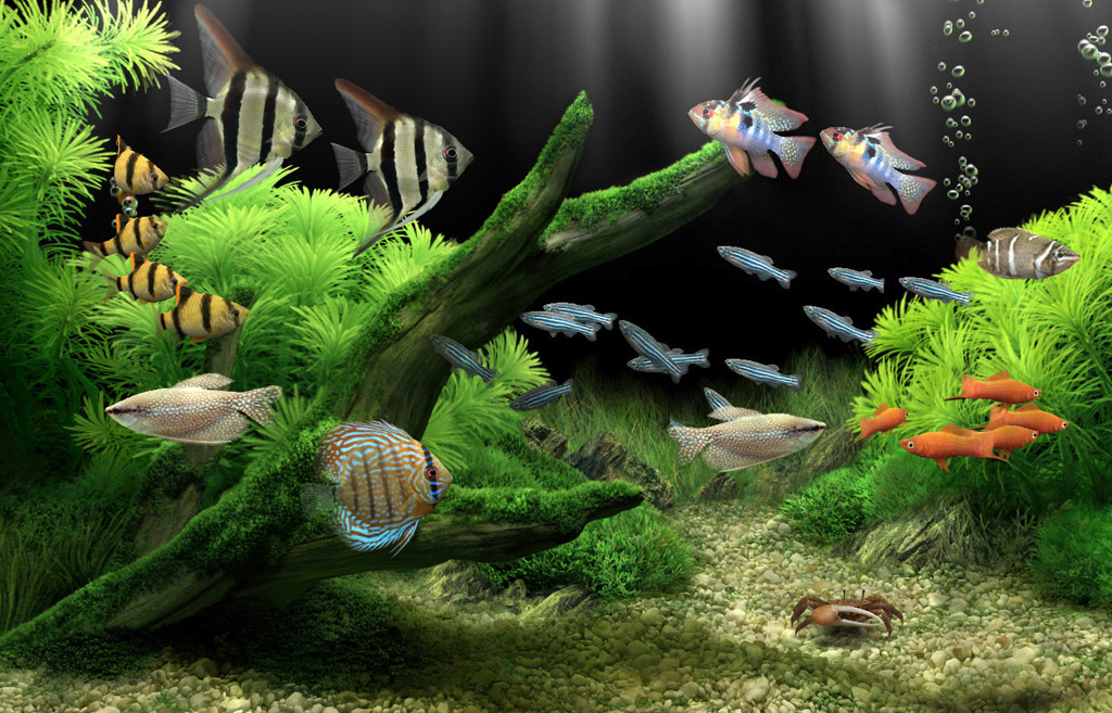 Dream Aquarium Is A Next Generation Virtual Screensaver