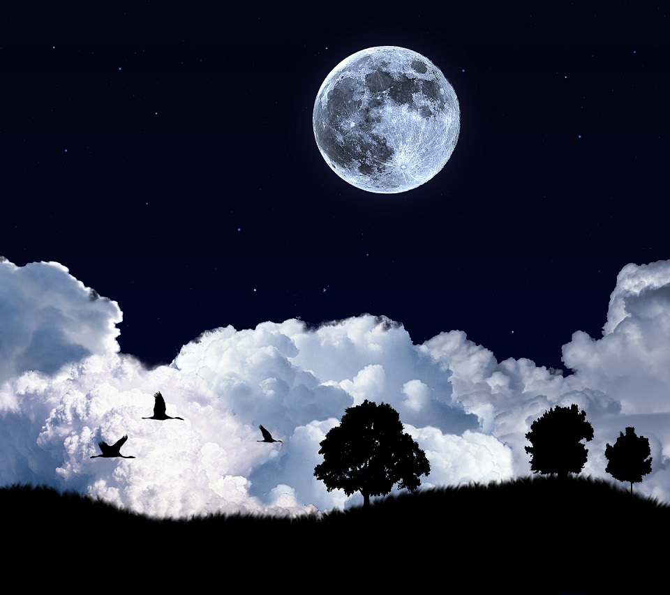 Moon Night Birds Android HD Wallpaper