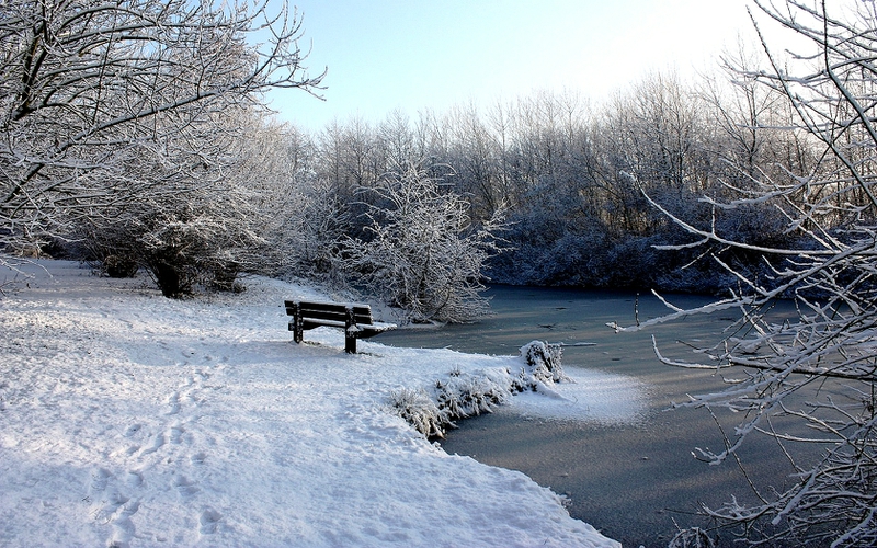 Bench Frozen Sit And Ze Nature Winter HD Desktop Wallpaper