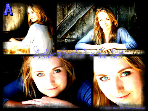 Heartland Image Amber Marshall HD Wallpaper And