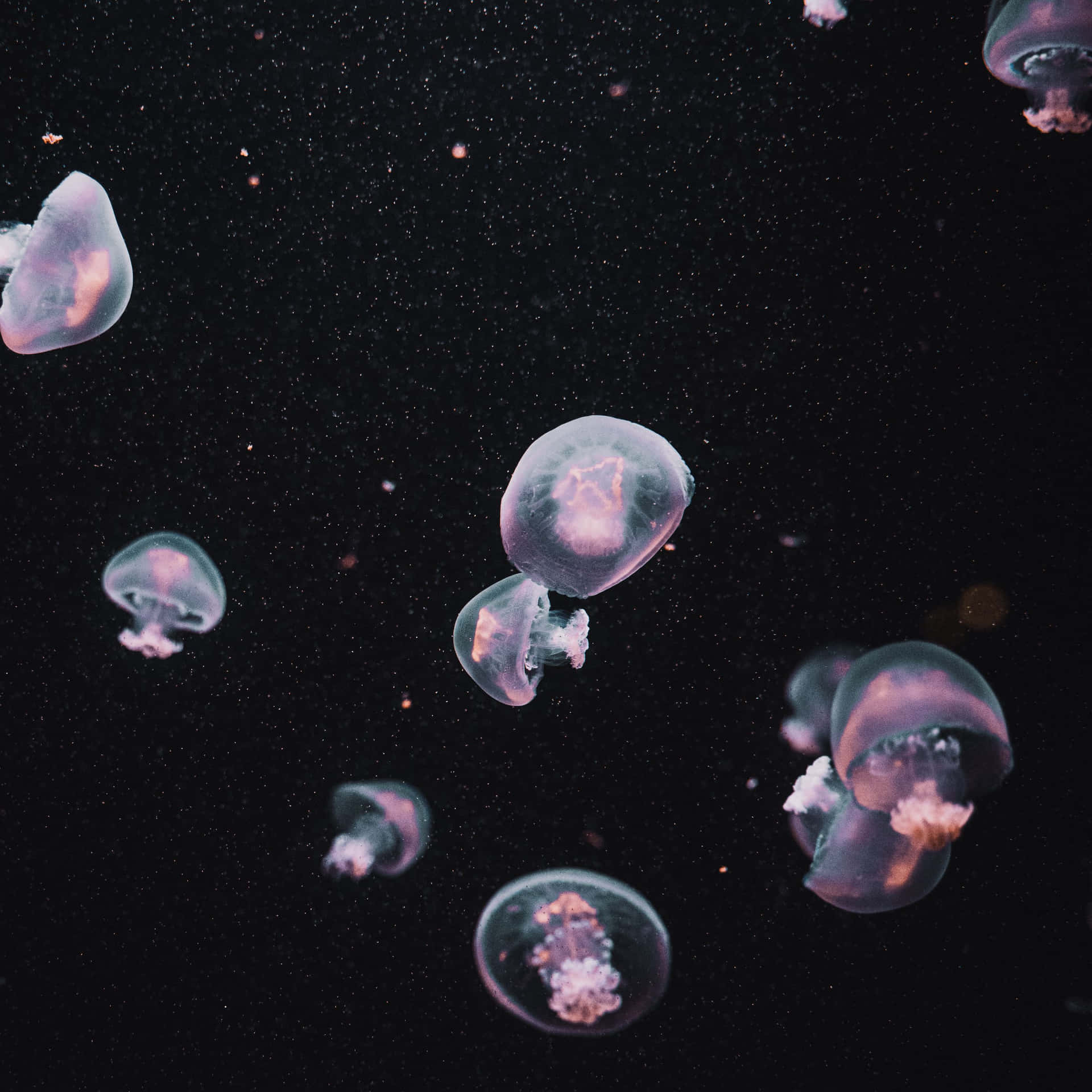 Dark iPad Wallpaper