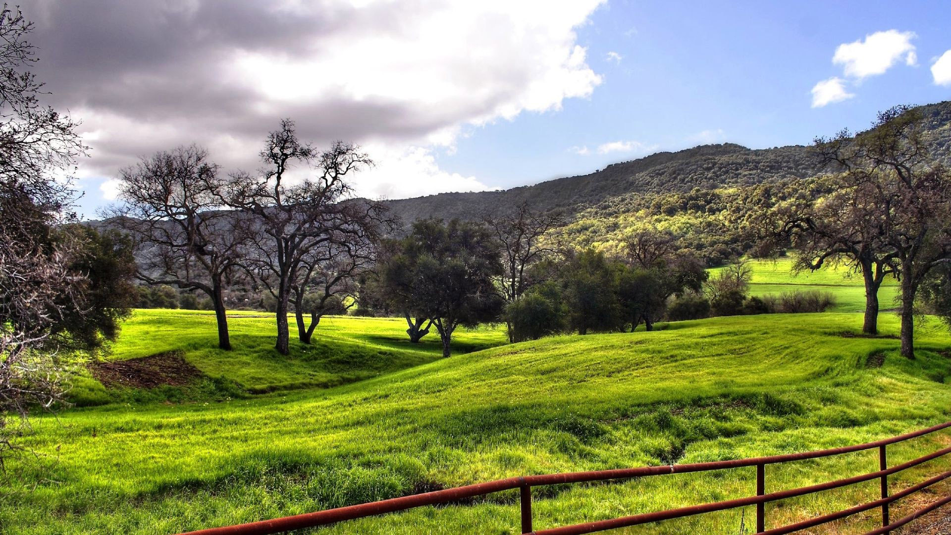 Countryside In The Spring