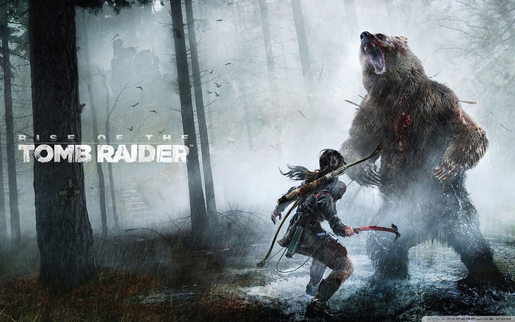 Rise Of The Tomb Raider 4k HD Desktop Wallpaper For Ultra