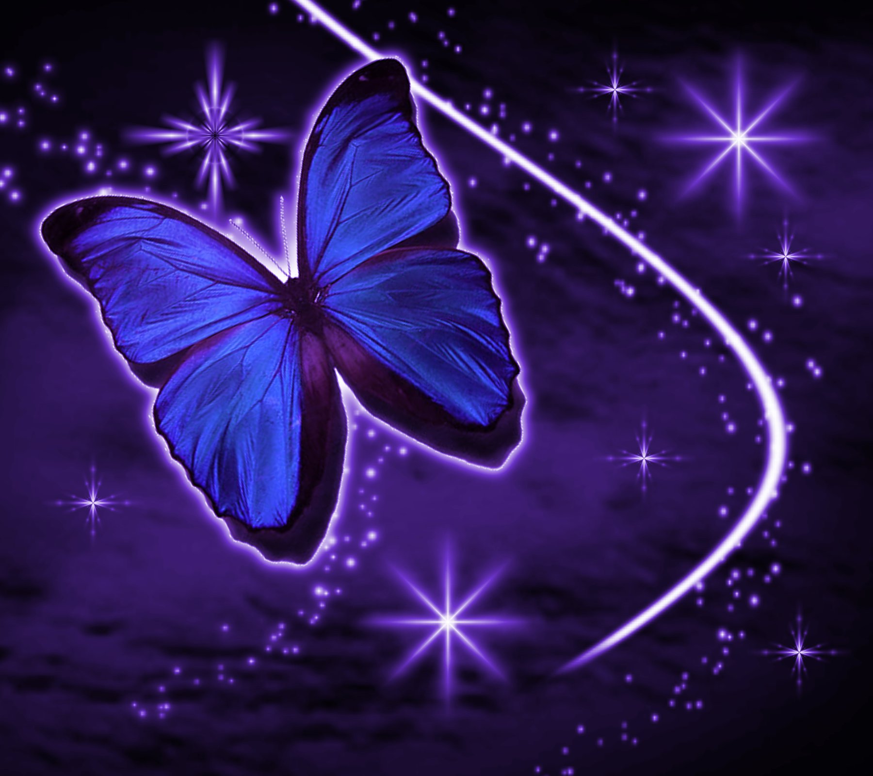 Dark Purple Butterfly Wallpaper This Backgroun