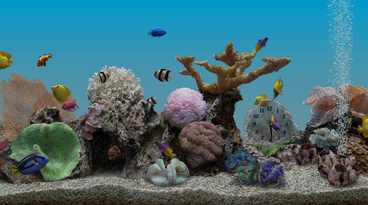 Marine Aquarium Live Wallpaper v1 Apktechglen Techglen Apps