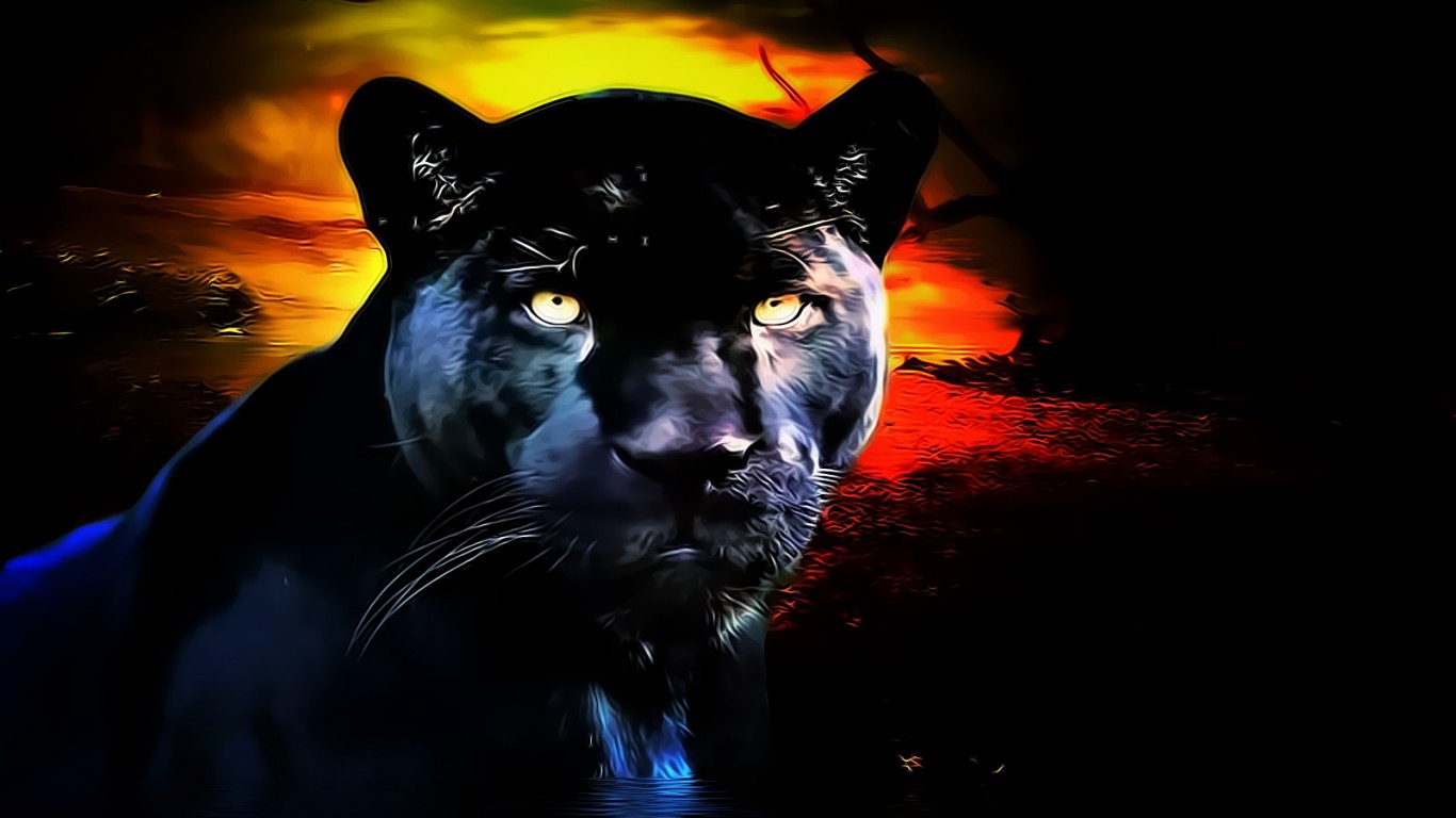 Panther Cat Wallpaper Black Animal HD Picture Pictures