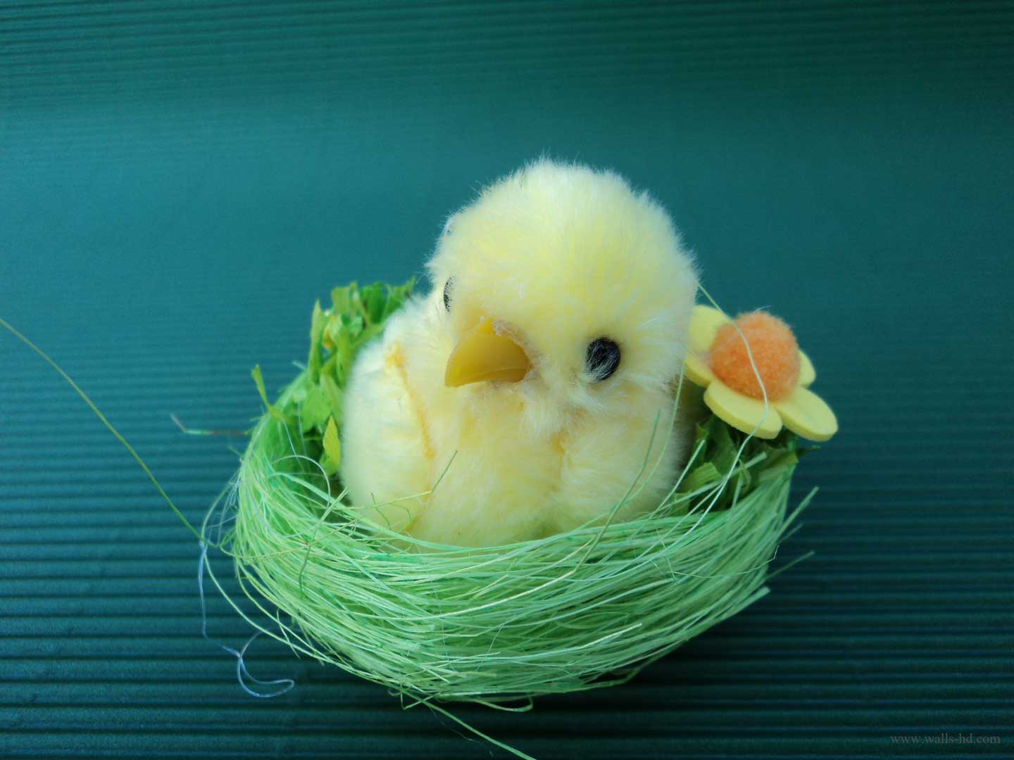 Free Wallpapers   Cute Easter chick wallpaper