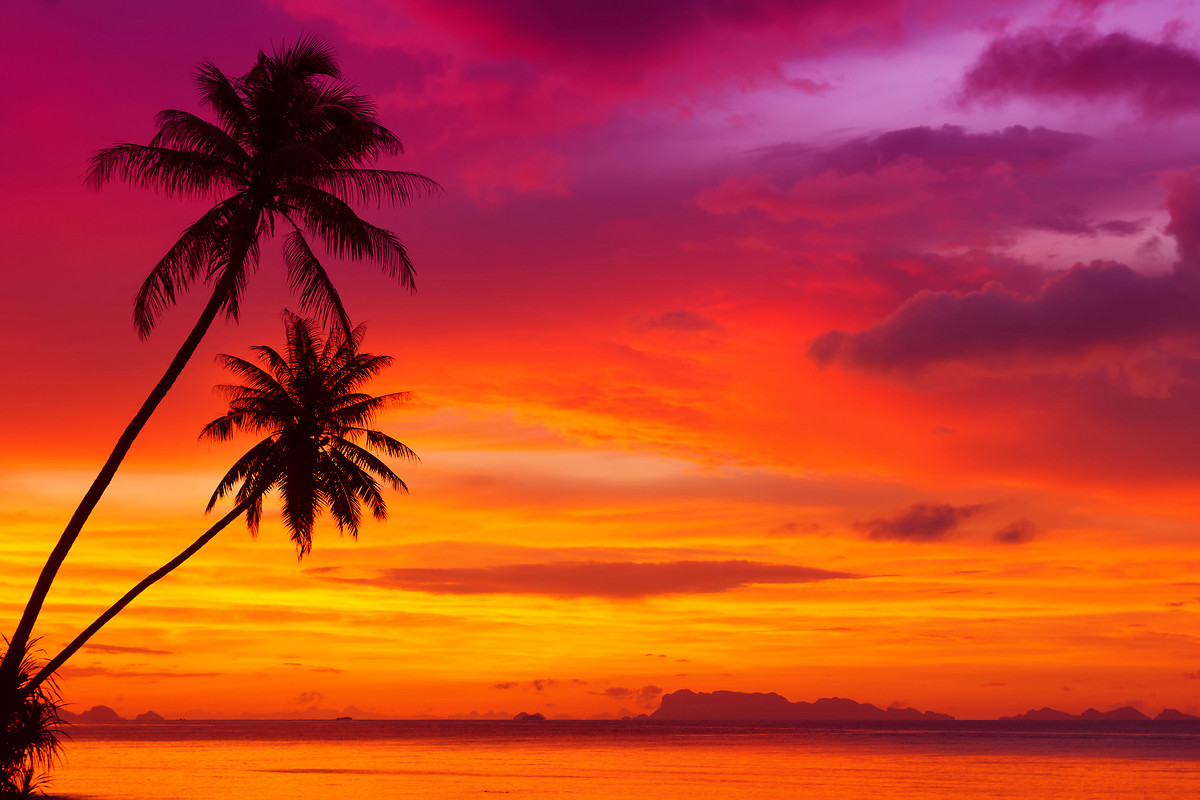 Tropical Sunset Free Wallpaper download   Download Free Tropical