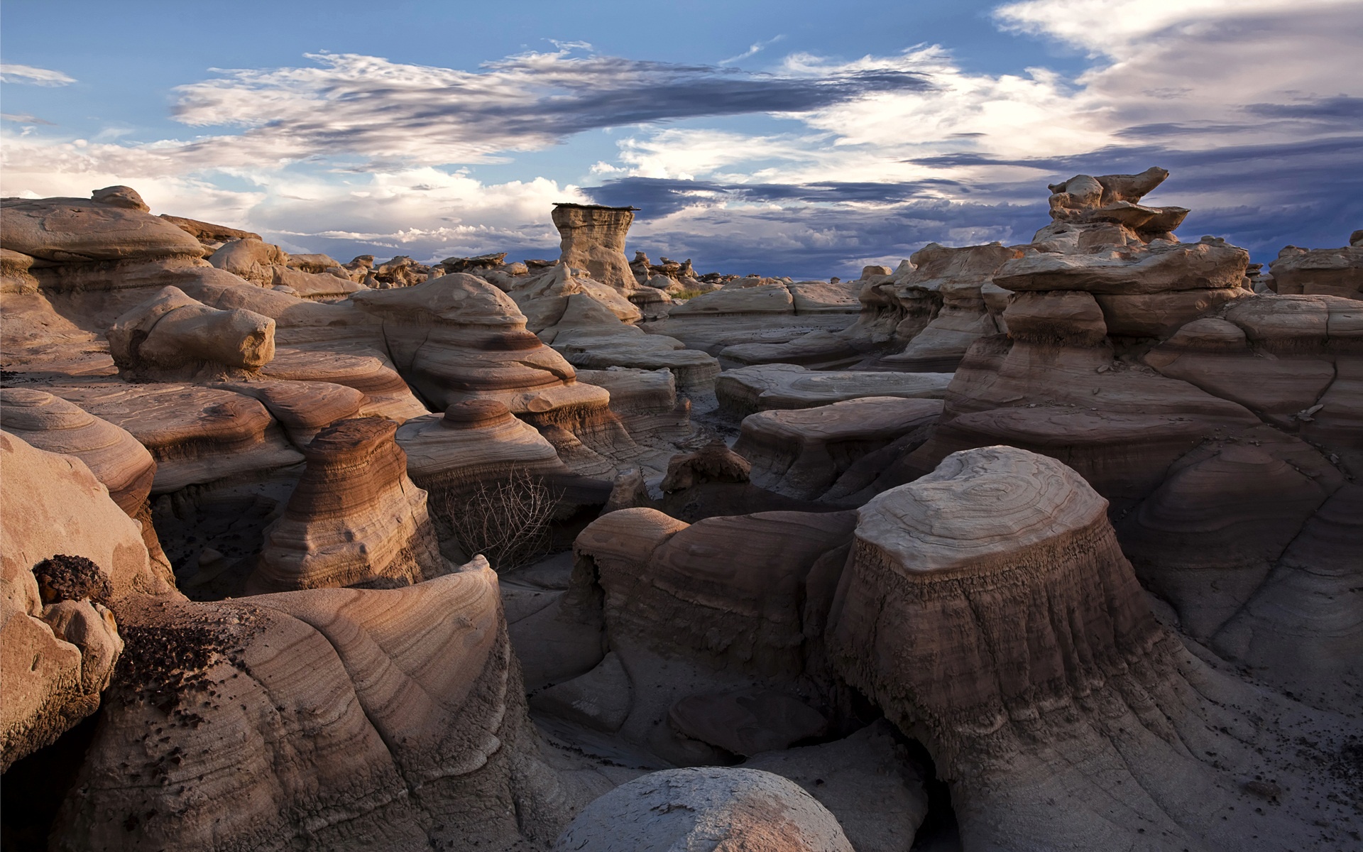 Bisti Badlands New Mexico Wallpapers HD Wallpapers 1920x1200
