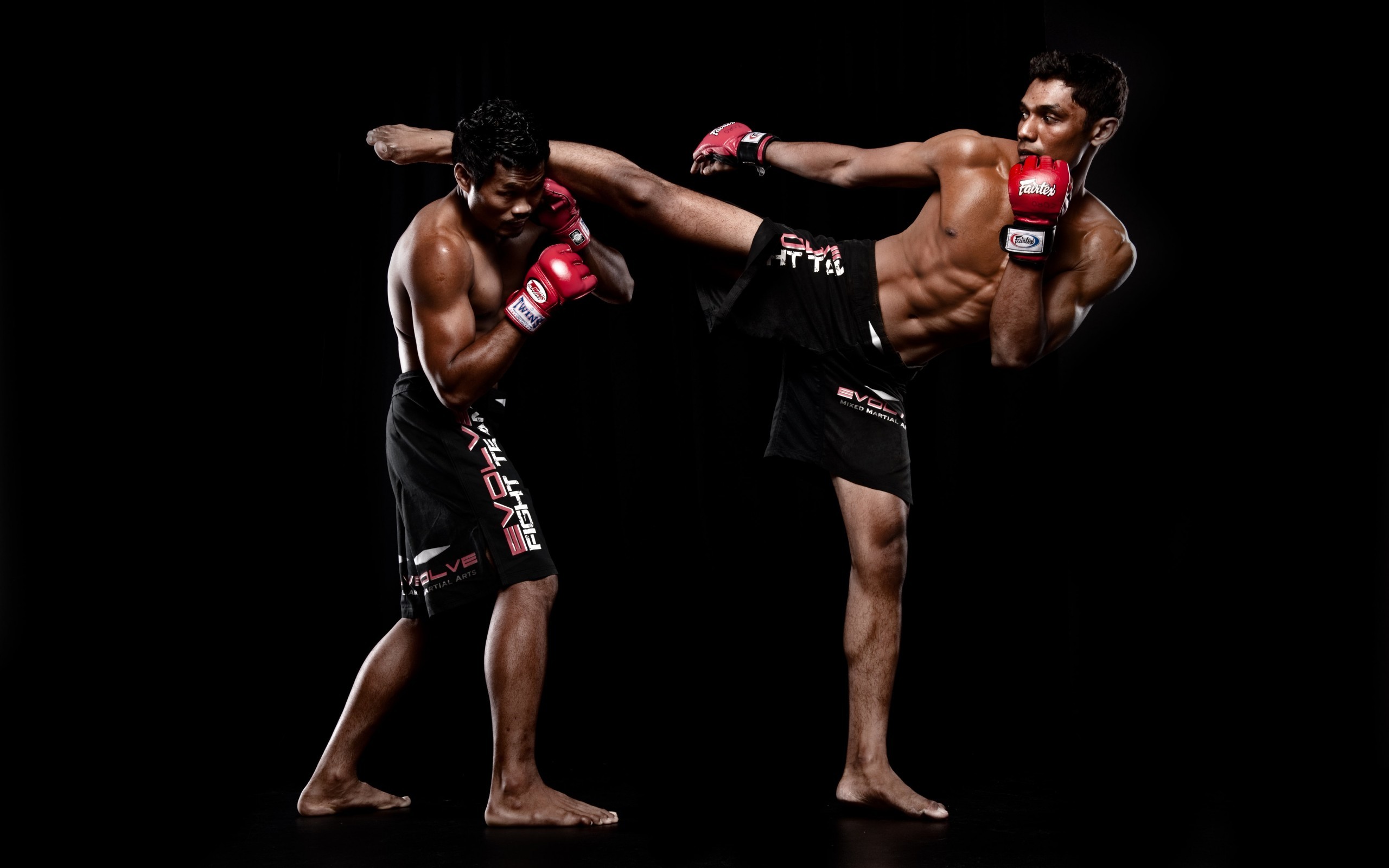 Two martial artists sparring, one executing a dynamic kick while the other blocks
