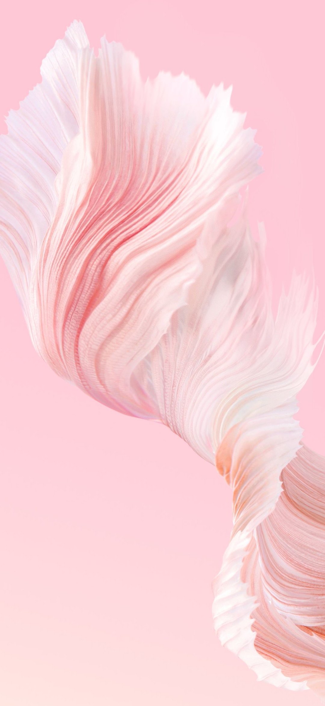 Honor V30 Pro Wallpaper
