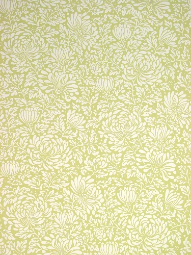 Wallpaper Designs