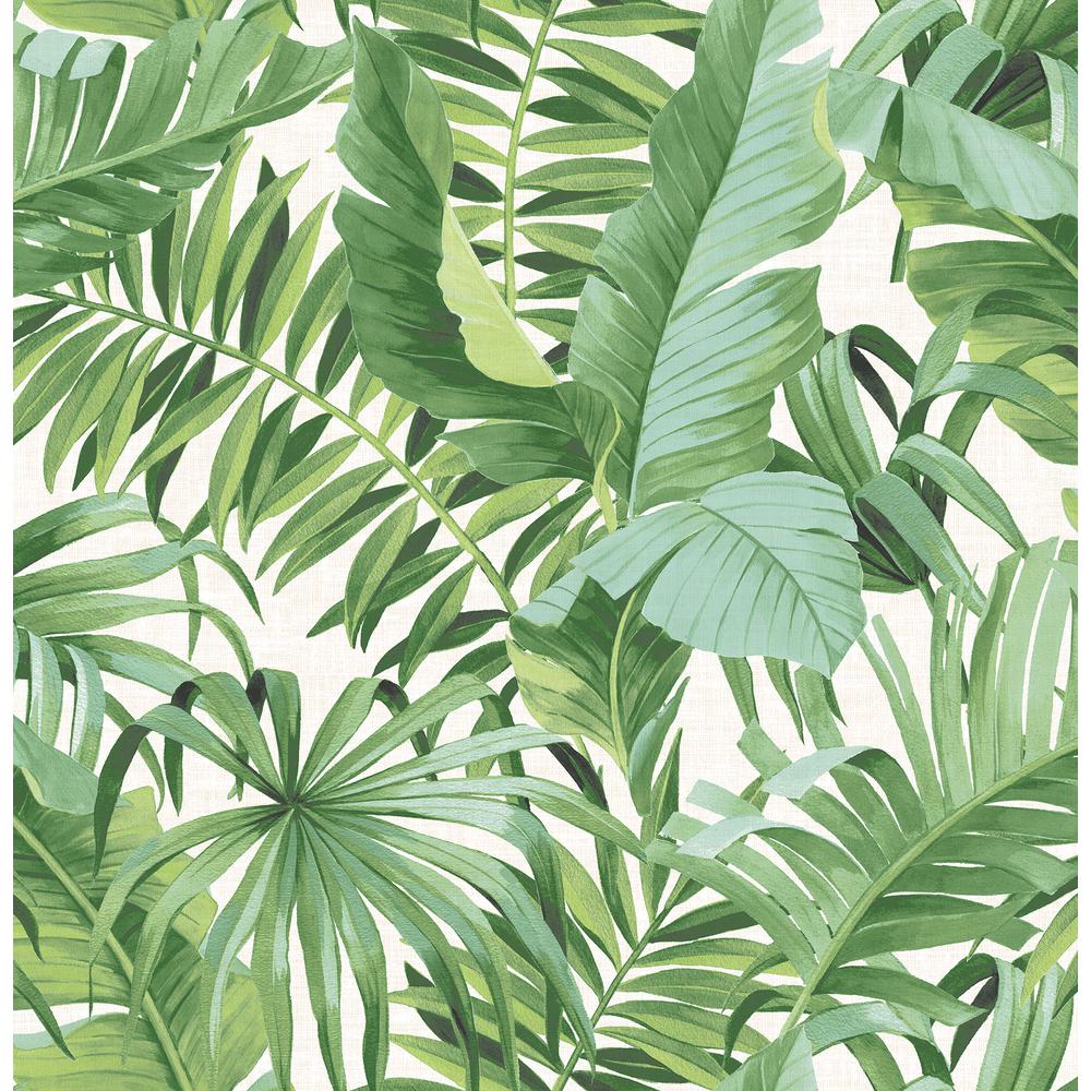 A Street Alfresco Green Palm Leaf Wallpaper Sample Products