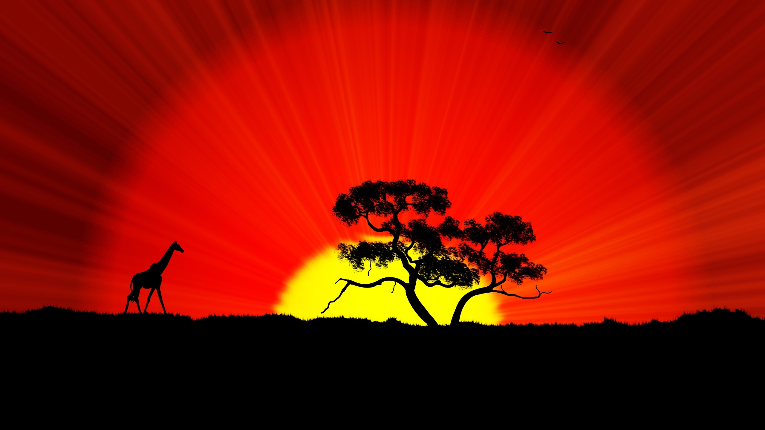 African Sunset Silhouette Giraffe Tree Crbeno Sky Sun With