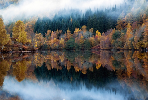 Wallpaper Forest Lake Fall Reflection Autumn Fog Desktop