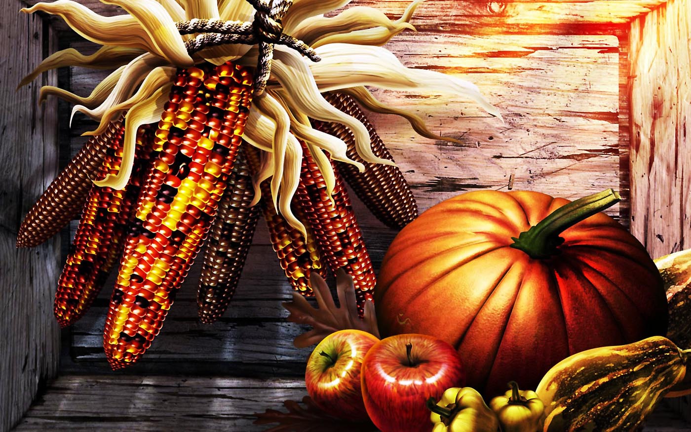 Thanksgiving Wallpaper Lold Funny Pictures