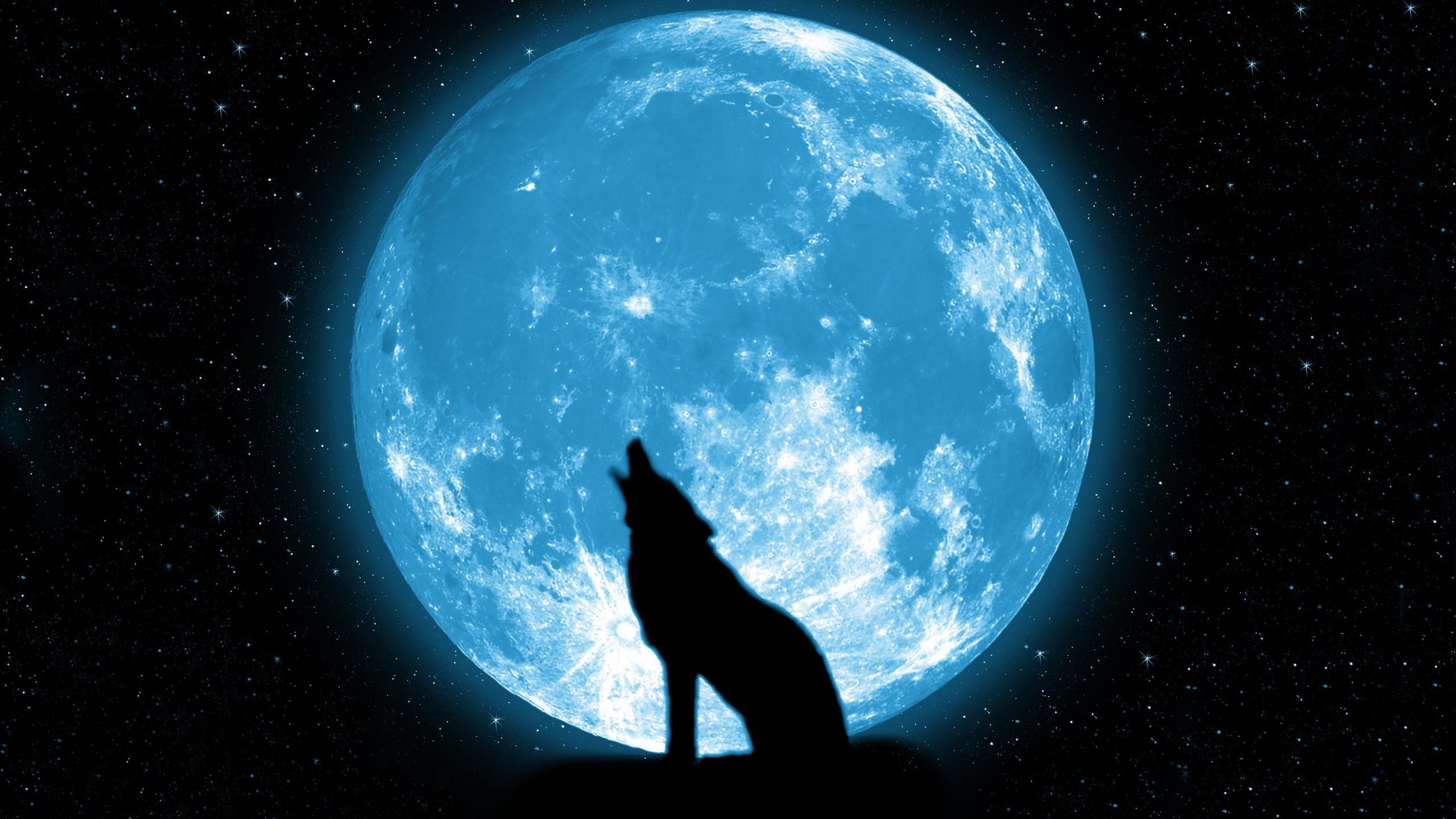 Wolf Howling On The Moon Wallpaper HD