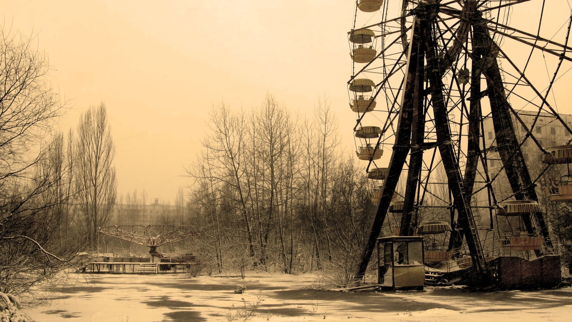 Black Bare Tree Apocalyptic Abandoned Pripyat Ukraine HD