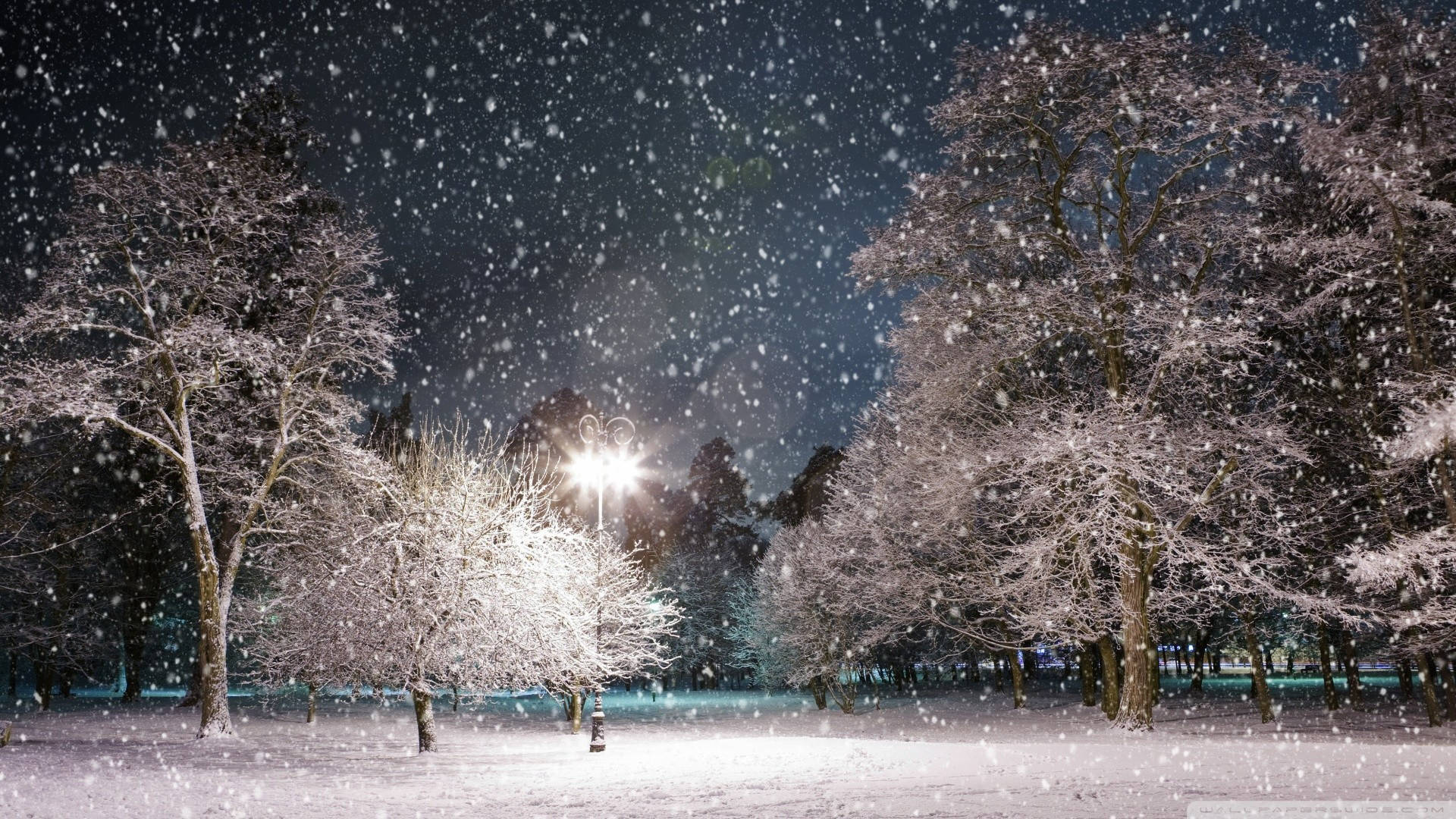HD Winter Desktop Wallpaper