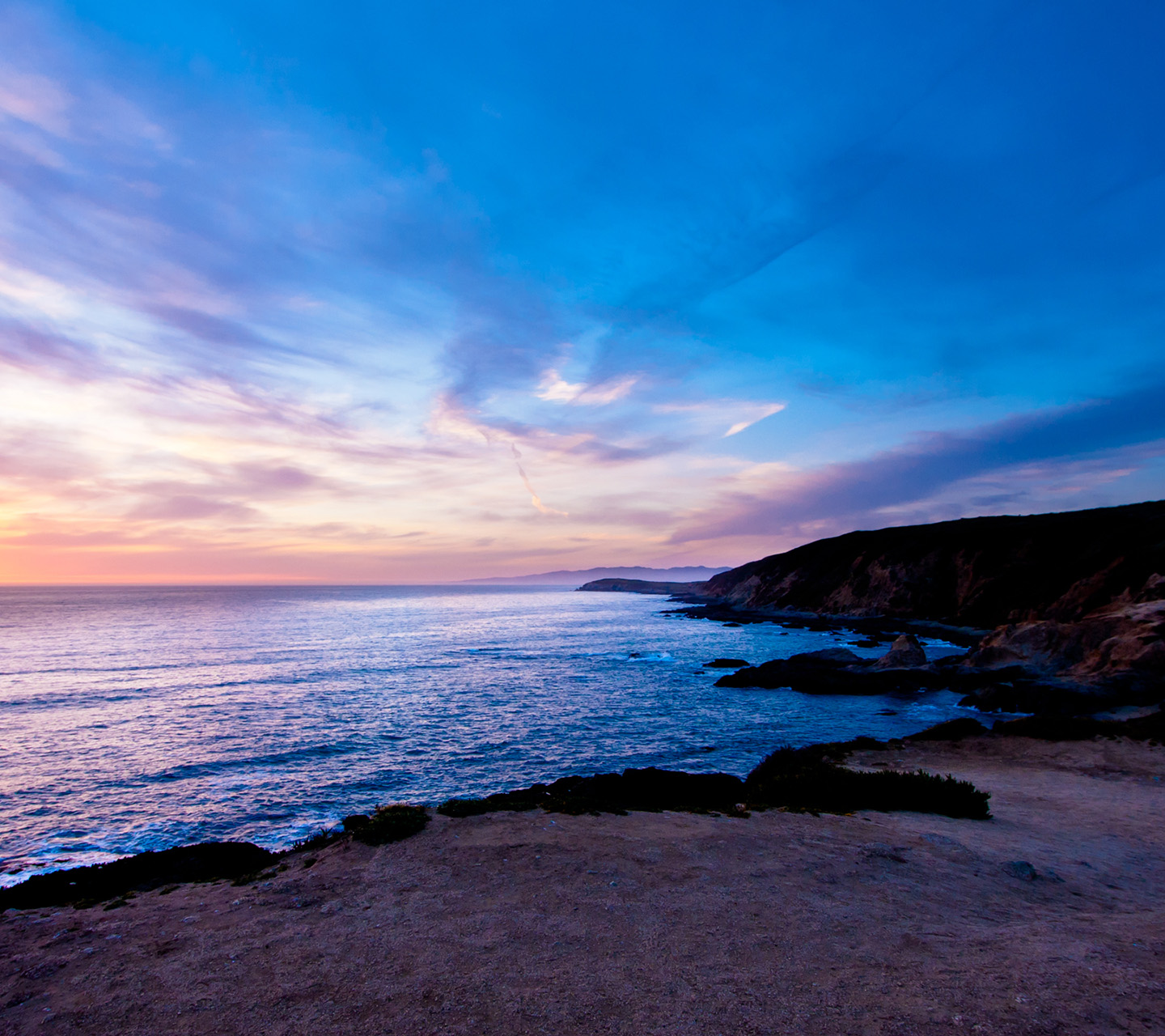 Bodega Head Sunset Wallpaper1440x1280 Wallpaper Screensaver