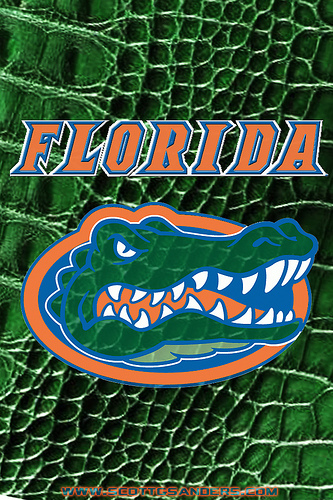 Florida Gators iPhone Wallpaper