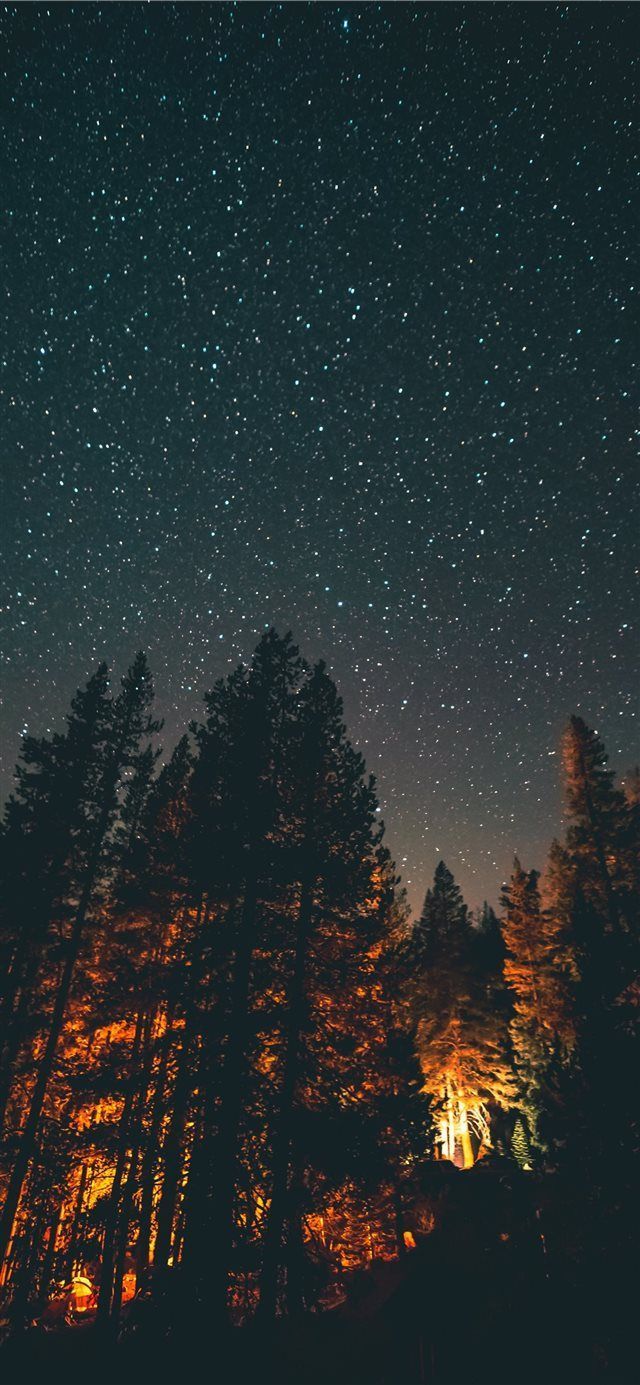 Nightlight iPhone X Wallpaper Night Sky Star Explore Nature