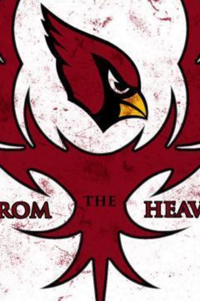 Arizona Cardinals Game Of Thrones Style Wallpaper For iPhone