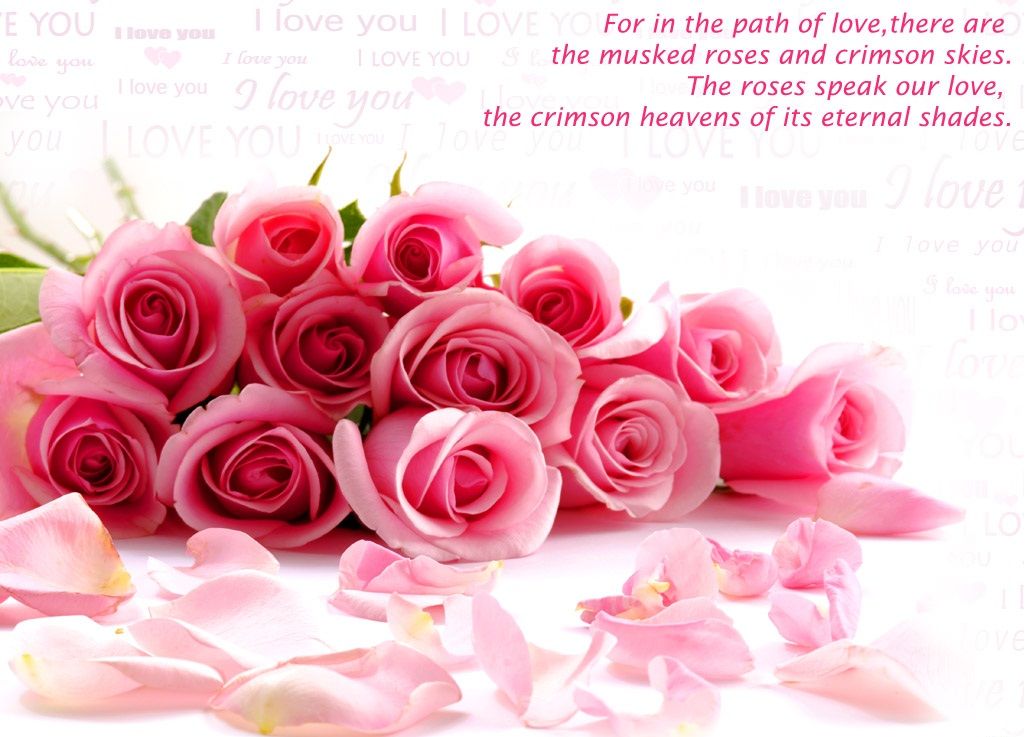 Pictures Of Love Quotes Flowers Wallpaper That