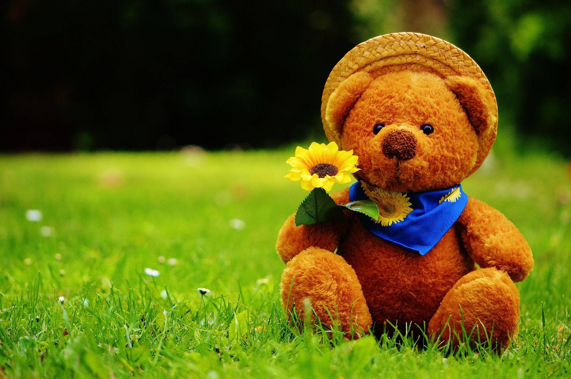Teddy Bear Wallpaper