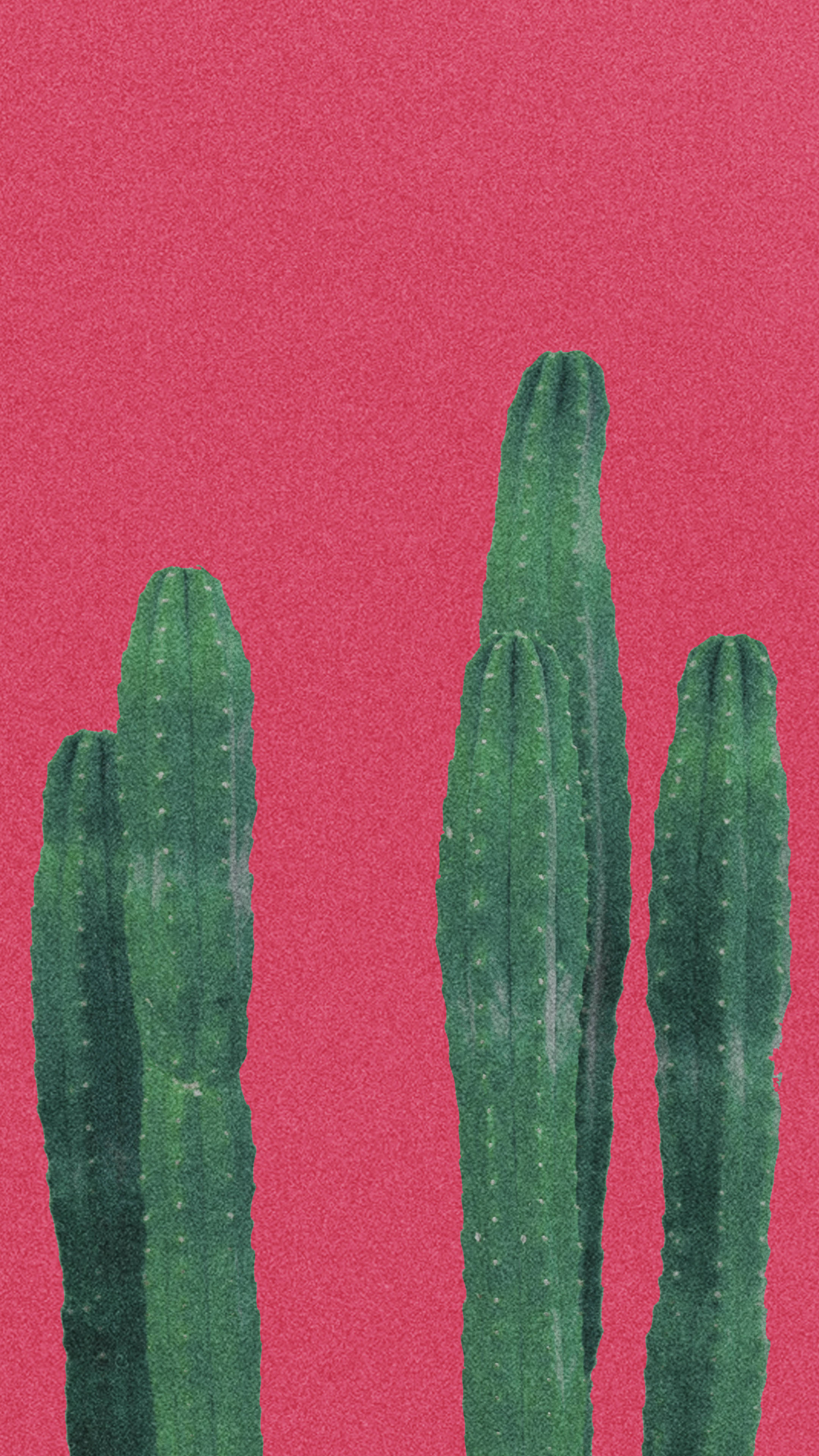 Minimalist Plant Wallpaper