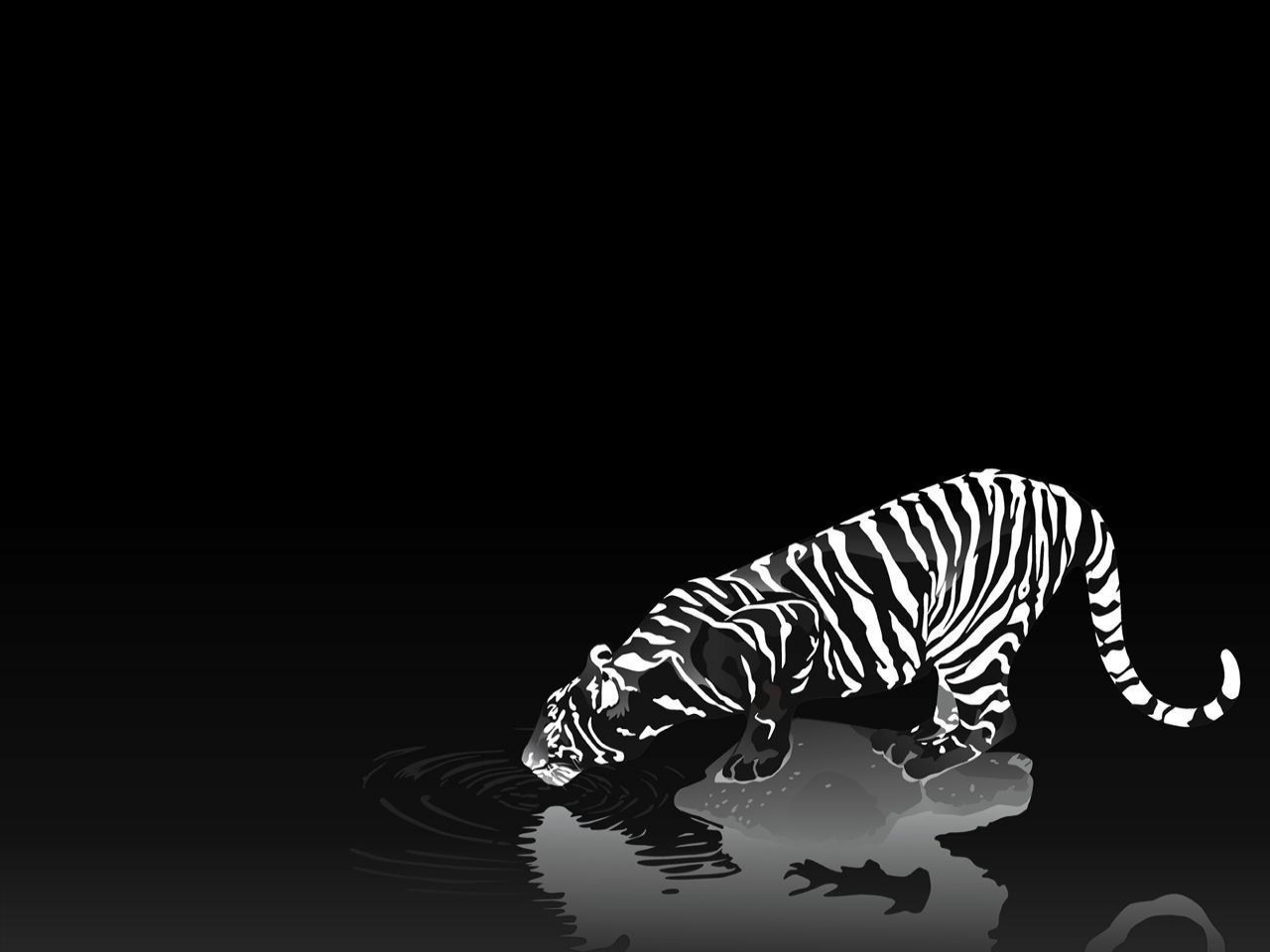 3d Black Tiger Wallpaper Image Num 28