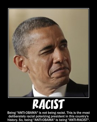 Racist Barack Obama President Democrat Liberal Polarizing